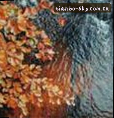 李浩